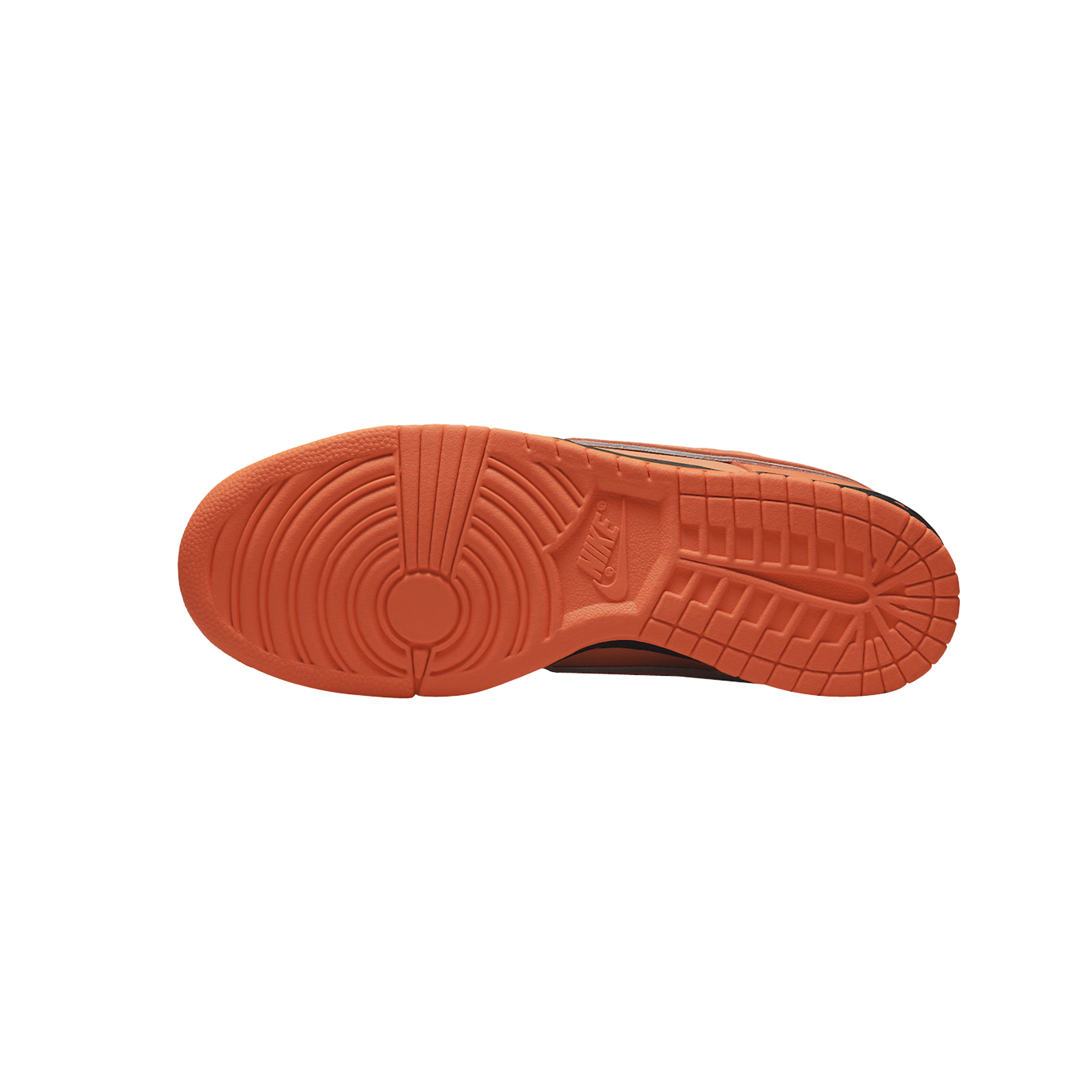 NIKE DUNK SB LOW LOBSTER