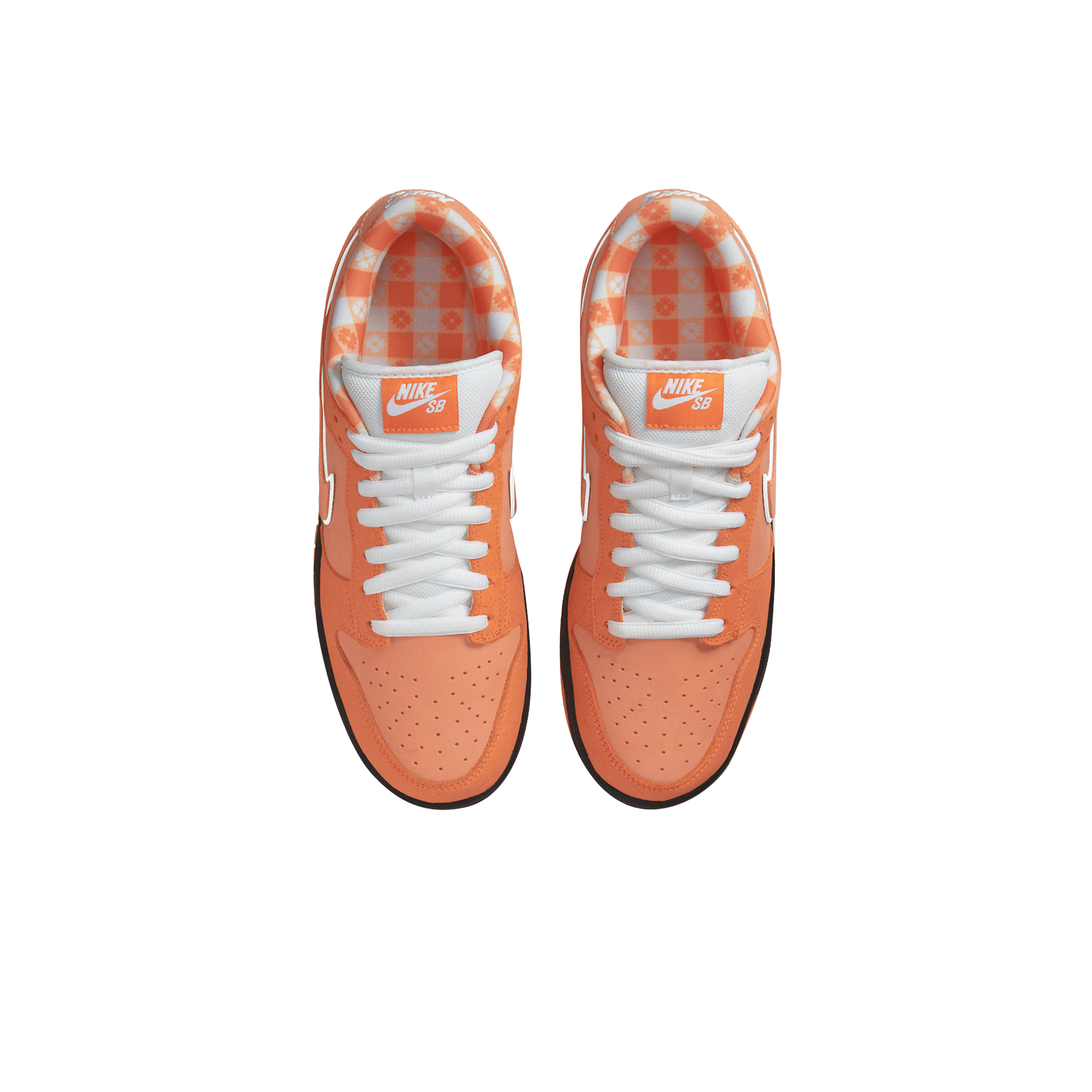 NIKE DUNK SB LOW LOBSTER