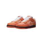 NIKE DUNK SB LOW LOBSTER