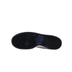 NIKE DUNK SB LOW TRUCK IT